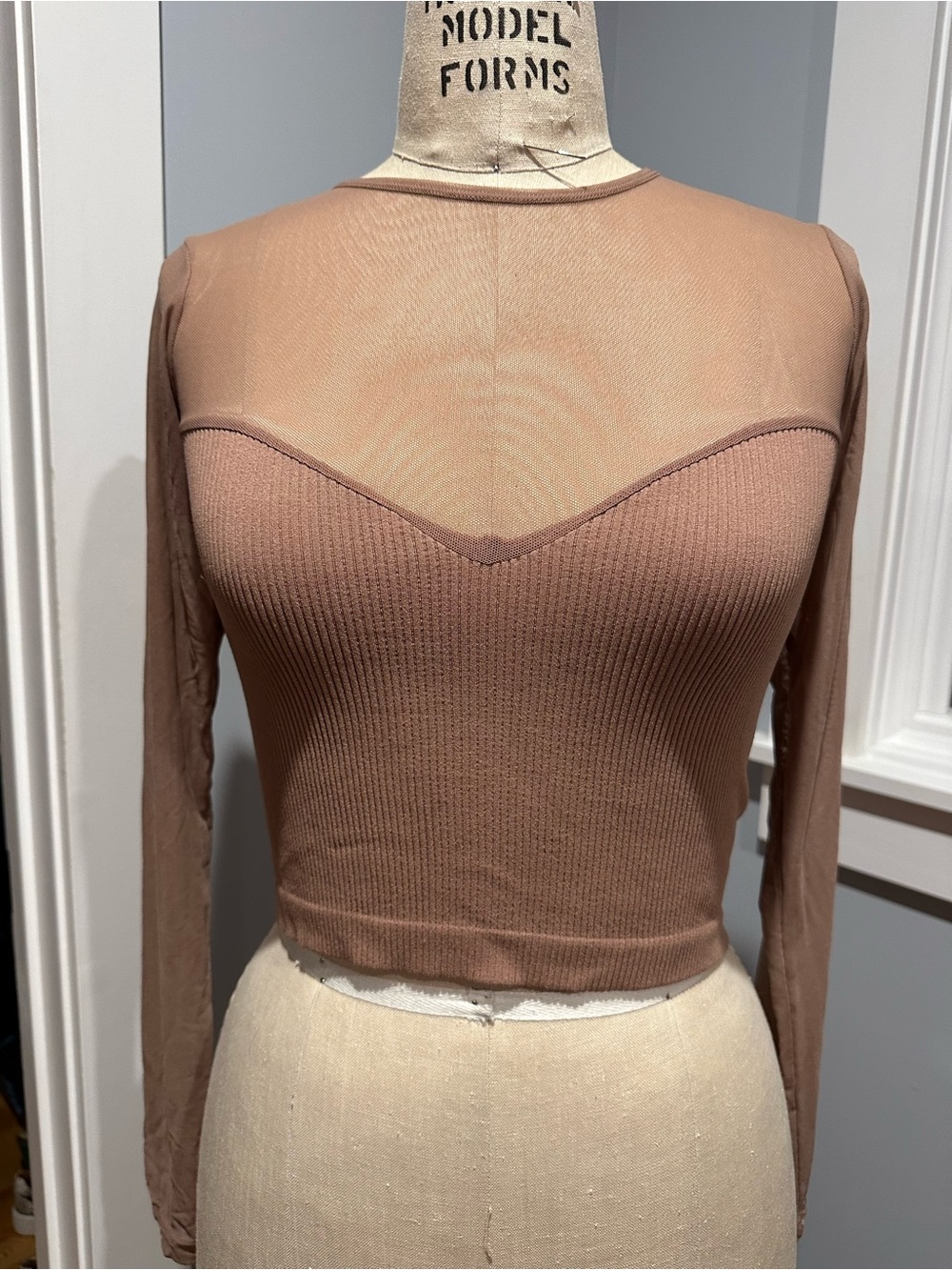Zara Sheer Yoke Ribbed Body Long Sleeve Mauve Crop Top - M-L